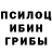 Галлюциногенные грибы Cubensis Lonuut Obuhov