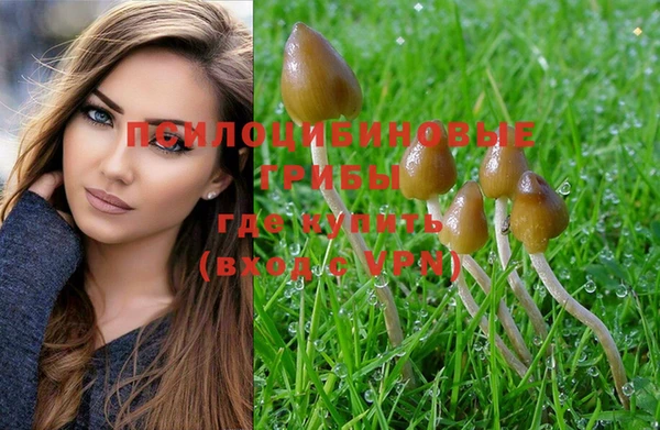 ALPHA-PVP Елабуга