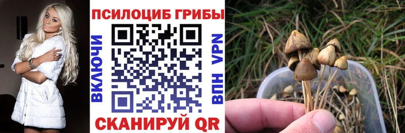 Купить закладки  Игарка  Галлюциногенные грибы Psilocybe 